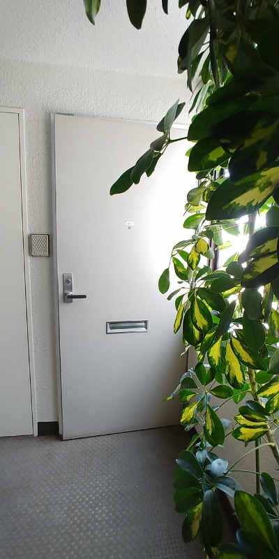 コーポヒルカワ 玄関