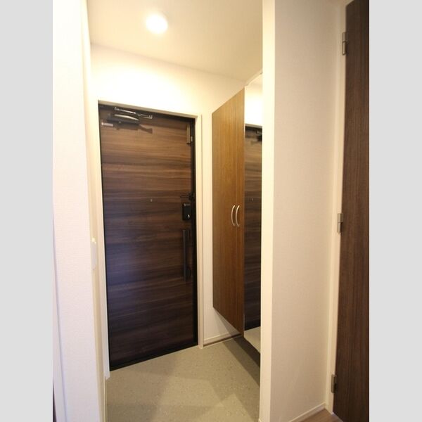 イーレクスN305号室 玄関