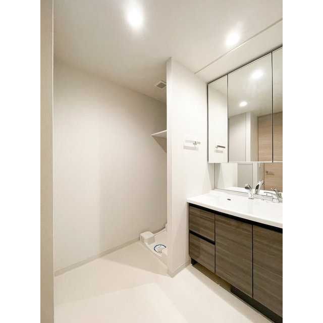 ザ・レジデンス赤坂檜町1203号室 内観