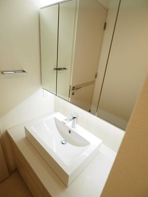 レジディア目黒Ⅳ8階 洗面