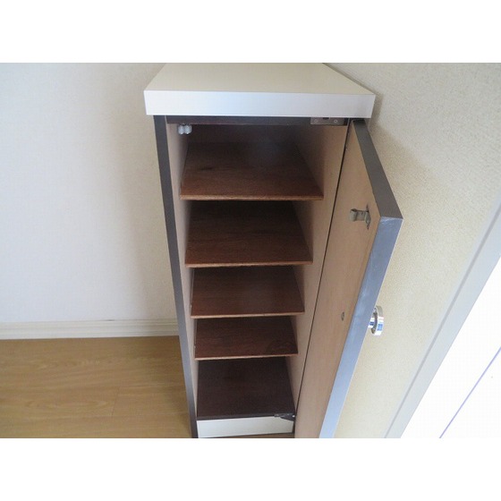 エスイーシー玉川ハイツ0101号室 シューズボックス