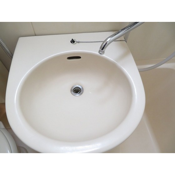 エレガンス綾瀬６0304号室 洗面ボール