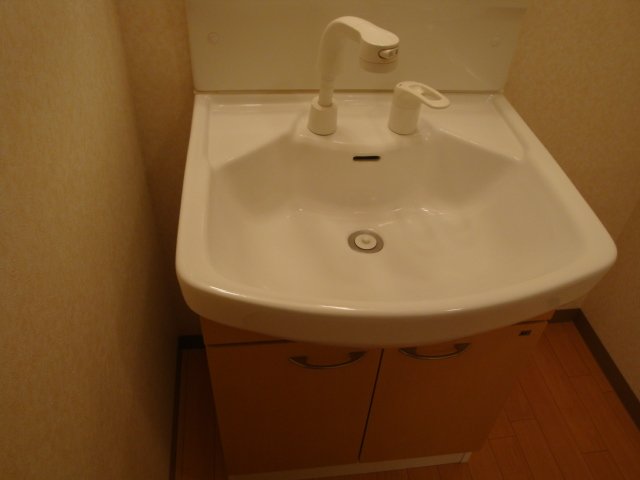 フォレストヴィラⅡ シャンプードレッサー