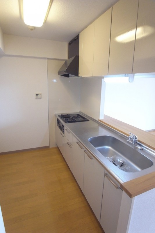 ロングエイトⅢ キッチン