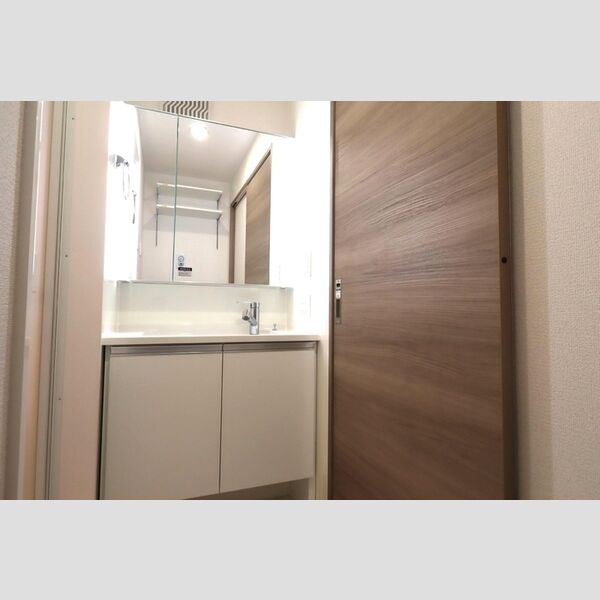 セレスティア西瑞江303号室 洗面所