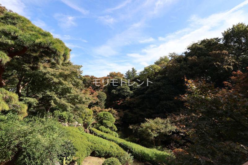 イプセ白金台4階 池田山公園