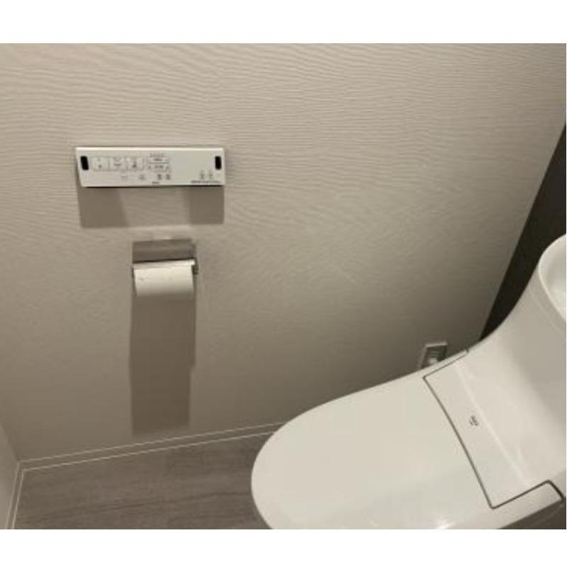 ダーシャモリ トイレ