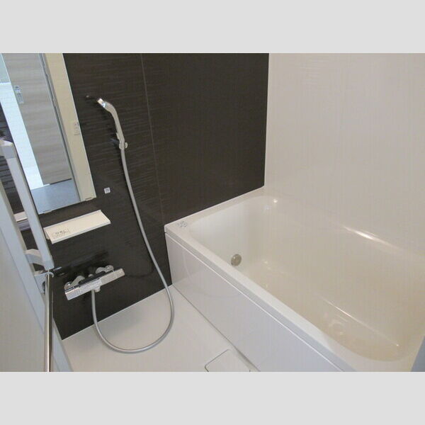 BELTS SHINJUKU　レジデンス401号室 浴室