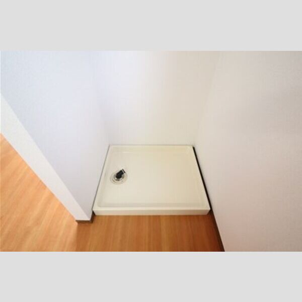 ロイヤルタウン泉　D105号室 室内洗濯機置き場