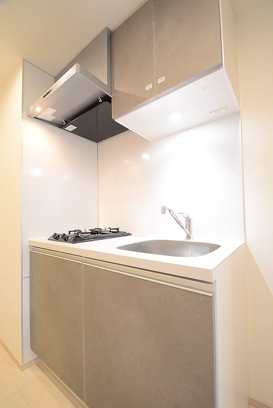 ステージファースト千葉中央11階 ※カラータイプ異なります