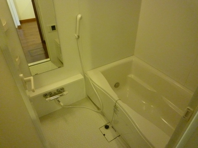 リオ・ヴェルデ バス