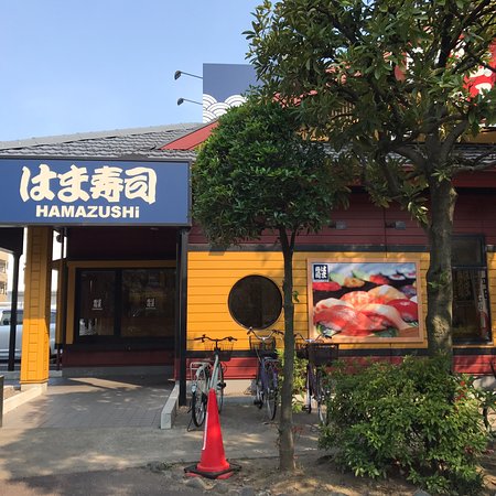 メゾンエイト0202号室 【その他】はま寿司江戸川松江店まで584ｍ
