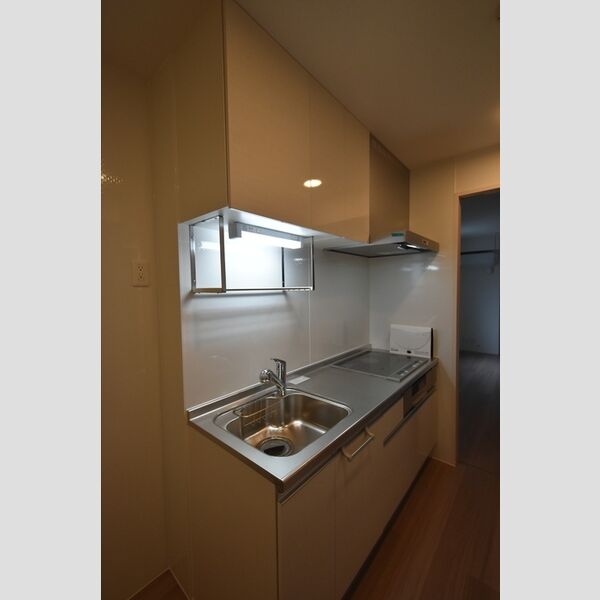 プレシャスコート聖蹟 キッチン