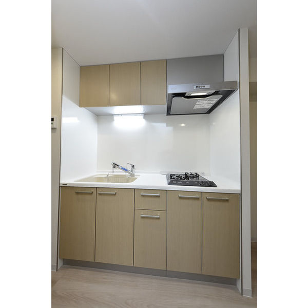 クリオ　ラモード学芸大学Ⅱ0403号室 キッチン