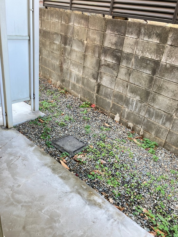 ライムライトM1階 同建物別部屋の参考画像