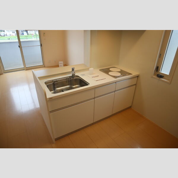 エアロドリーム203号室 対面システムキッチン