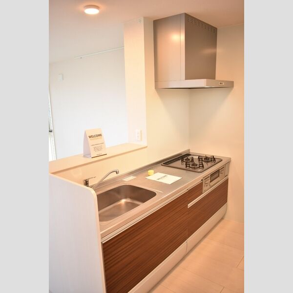 ウィステリア パレス システムキッチン