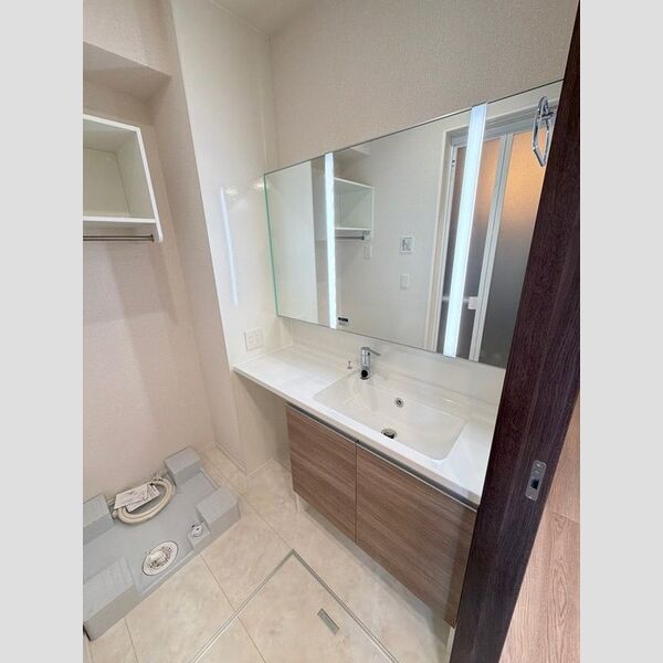 ゼラニウム湘南台105号室 洗面所