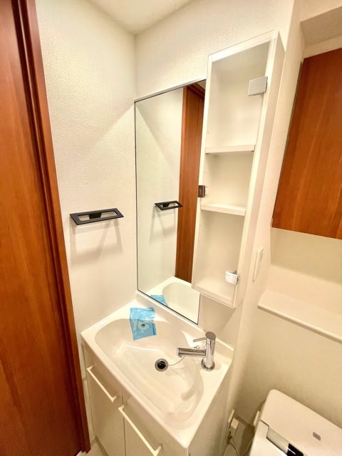 レジディア蒲田Ⅴ5階 洗面