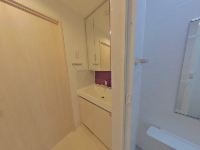 アジールコート池上505号室 洗面