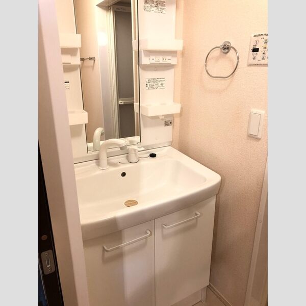 グランメール(諏訪町)201号室 洗面