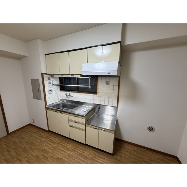 レイルビルⅡ　旧パークサイド横山 キッチン