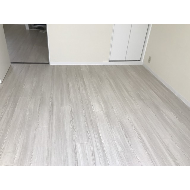 シティハイムアケボノB リビング