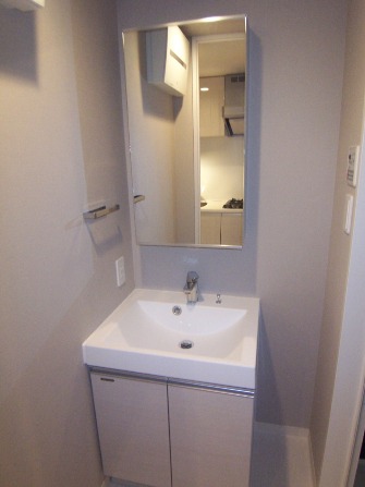 グラントゥルース中板橋404号室 洗面