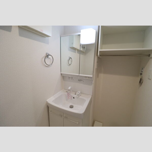 D-ROOM本町1丁目 洗髪洗面化粧台