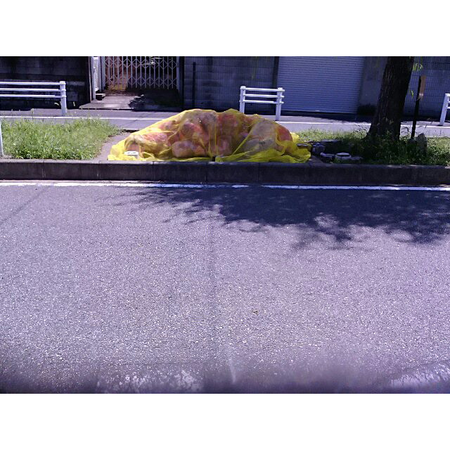 サンシティ 周辺