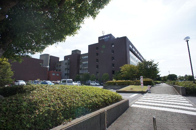 エクセルグランデ高洲0704号室 私立東京歯科大学