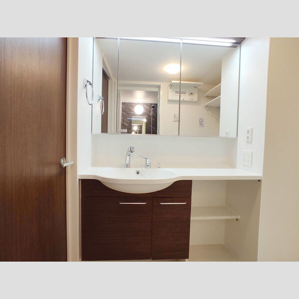 アンジュール多摩川202号室 洗面