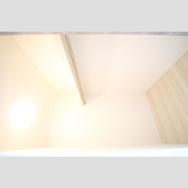 ラリュール谷在家 ウォークインクローゼット