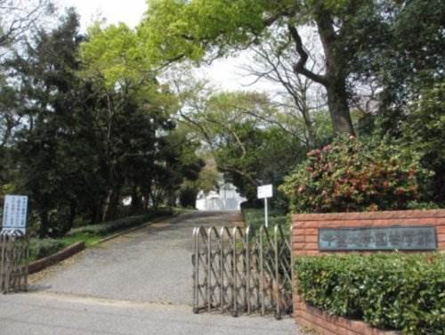 メゾンド・アイ1階 千葉大学 松戸キャンパス