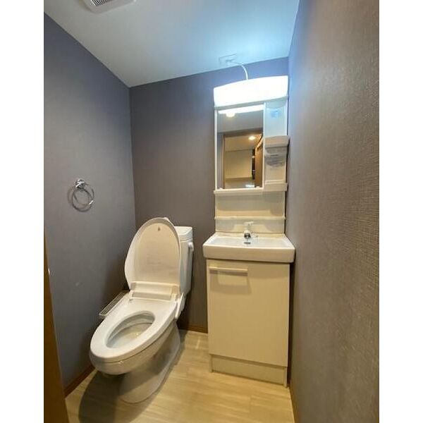 BlueTerrace松戸206号室 洗面