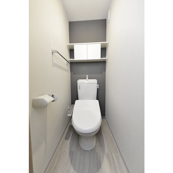 クリオ　ラモード学芸大学Ⅱ0303号室 トイレ