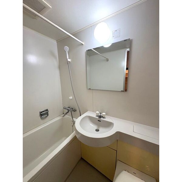 鎌ヶ谷ハイツ 洗面