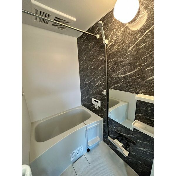 セカンドステージ袋山203号室 部屋その他