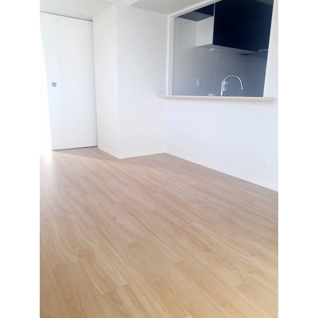 オーパスホームズ白山1103号室 部屋その他