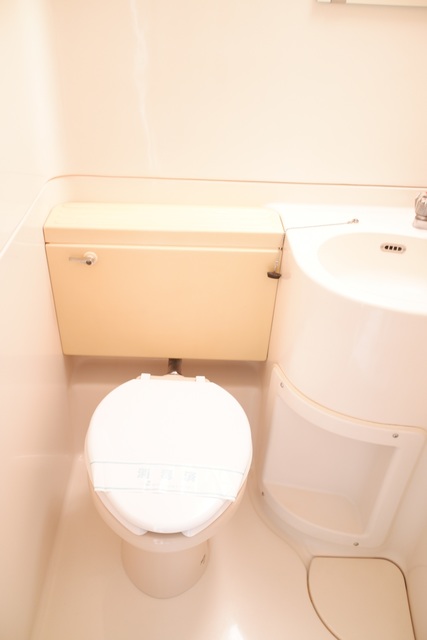 ジョイフル目黒洗足508号室 トイレ