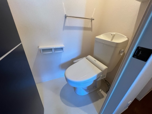 ＳＯＬＥＩＬ　ＡＯＹＡＭＡ トイレ