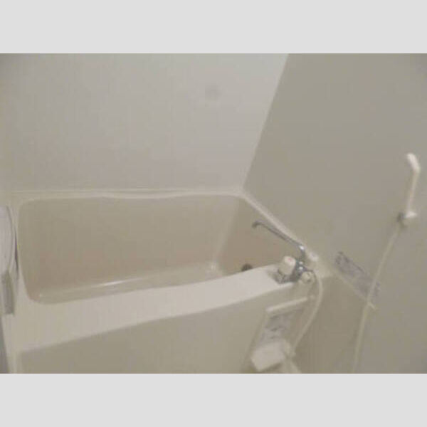 ロイヤルパレス市川305号室 浴室