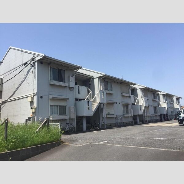 ポテトの外観画像