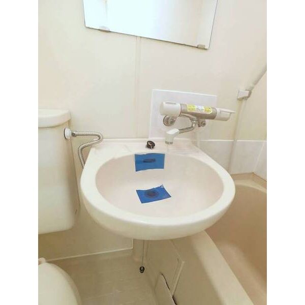 メゾン・ド・ラシーヌ 洗面