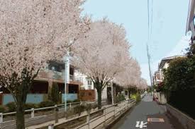 ヴェルト柿の木坂 【公園】呑川柿の木坂支流緑道まで197ｍ