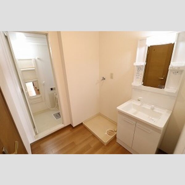 トリニシティ　弐番館202号室 洗面所