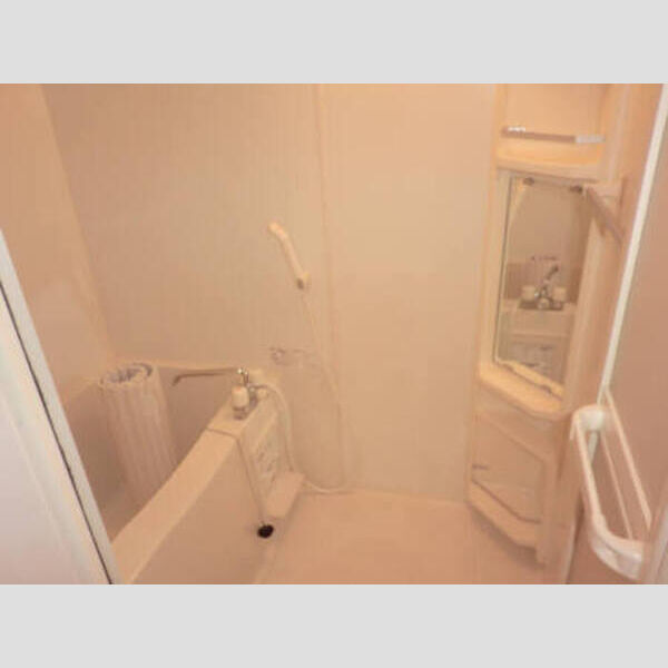 ヴェルドミールⅡ・Ⅲ　Ⅱ 浴室