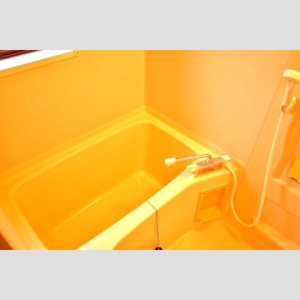 ラ・リヴィエールⅢ203号室 バスルーム