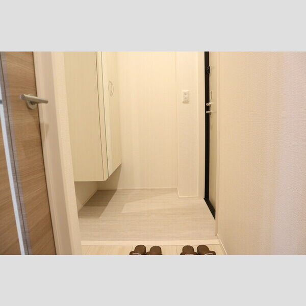 ソレイユ　ラ　コリーヌ東川口 玄関