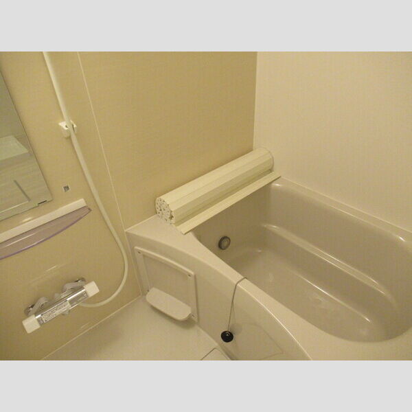 D-room公津の杜C202号室 1坪風呂